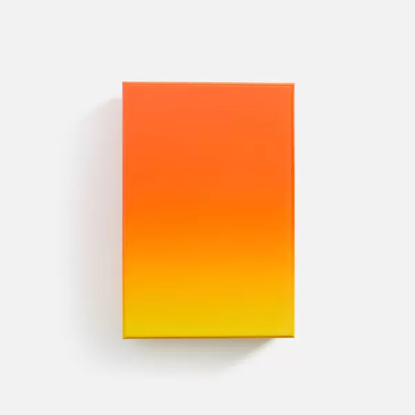 Gradient Puzzle | Areaware Clearance