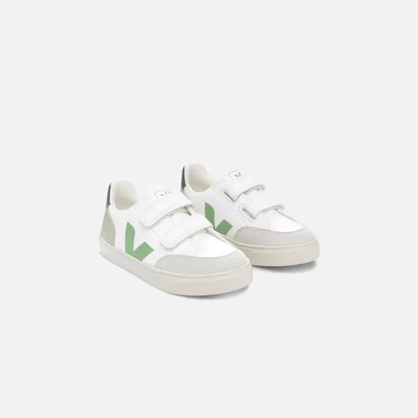 Junior V-12 | Veja Shop