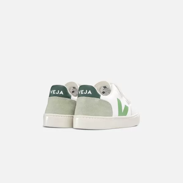 Junior V-12 | Veja Shop