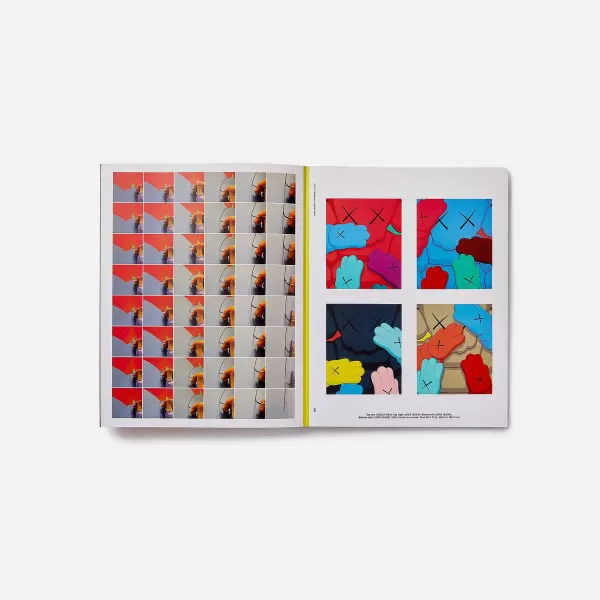 Kaws: What Party | PHAIDON Shop