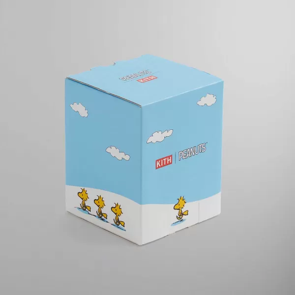 For Peanuts Piggybank | Kith Store