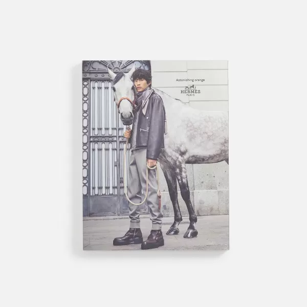 Magazine | CircleZeroEight Online